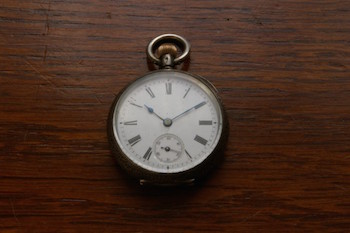 Labrador uret fra før Omega begyndte at markedsføre sig som Omega. Venligst udlånt af/ courtesy of Radger, WUS.